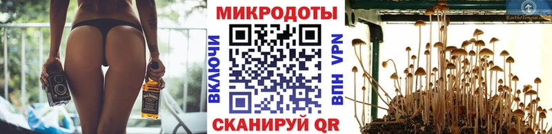 Галлюциногенные грибы мухоморы  где можно купить наркотик  Обоянь 